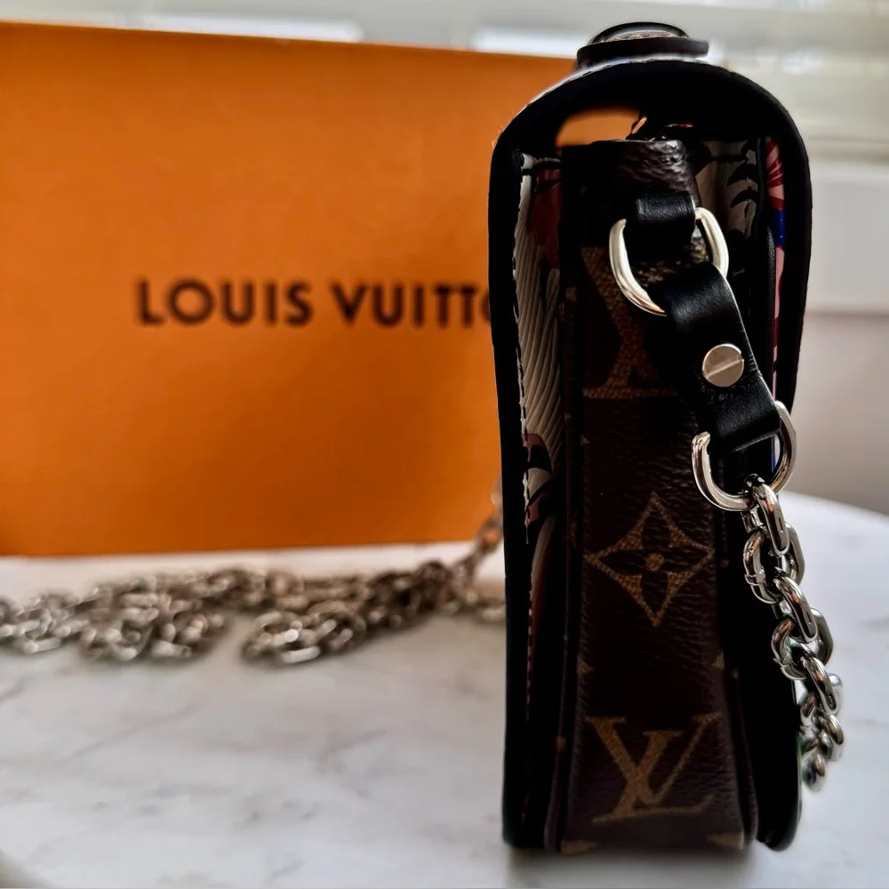 Louis Vuitton Bag